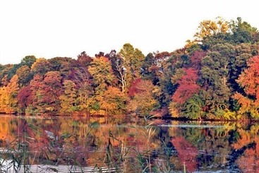 Miller Dunham House Bed & Breakfast