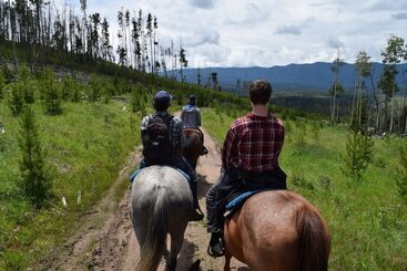 فندق ريفى Aspen Canyon Ranch