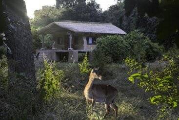 Track And Trail River Camp