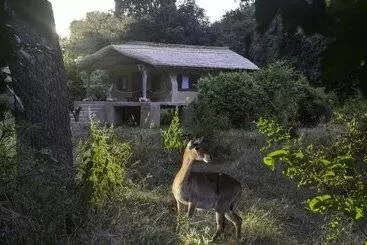 Track And Trail River Camp