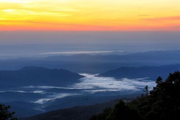 The Floral Breeze Hotel Mt.victoria