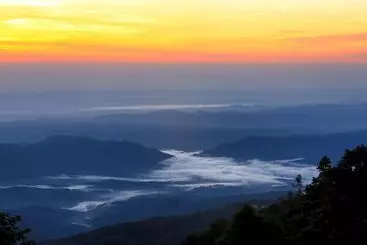 The Floral Breeze Hotel Mt.victoria