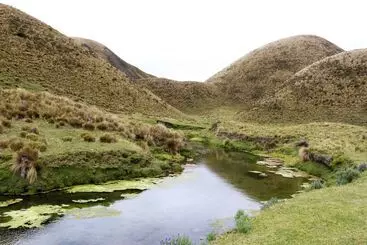 田舎風ホテル Hacienda El Porvenir