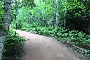 Greenwich Moonlight Bay Cottage