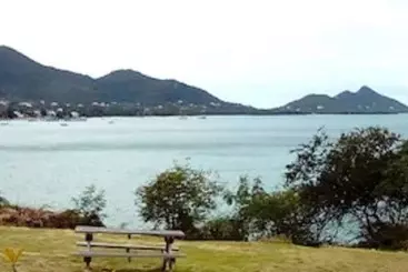 Hotel Green Roof Inn