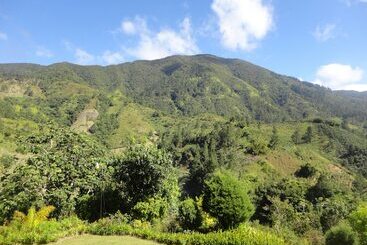 استراحتگاه Starlight Chalet