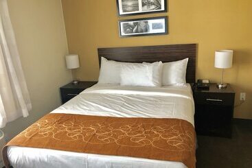 Отель The Vue Inn Brooklyn