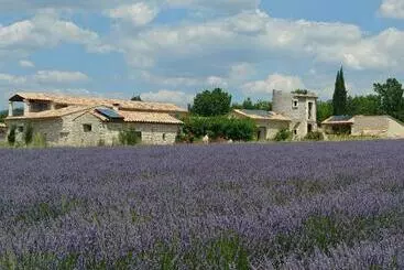 Bed and Breakfast Le Mas Des Lavandes