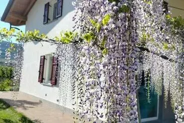Agritur Lavanda