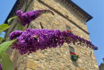 교외 호텔 Agriturismo Antica Torre