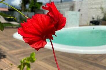 Hostel Pousada Do Mestre