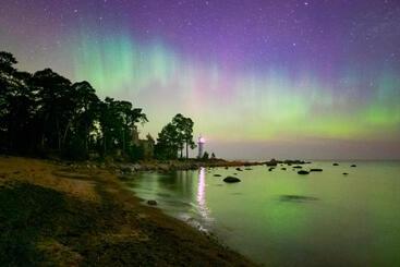 هتل Vergi Sadam & Restoran Wirkes