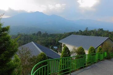 渡假胜地  Blossom Hill Munnar