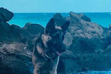 هاستل Cottage At Forever