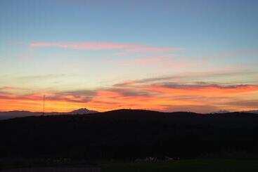 مبيت وإفطار Jbay Zebra Lodge