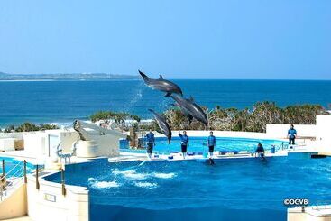 דירה Wisteria Condominium Resort