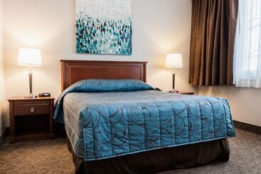 酒店 Adam S Airport Inn