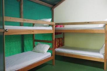 הוסטל Daintree Crocodylus