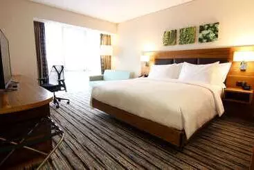 هتل Hilton Garden Inn Ankara Gimat