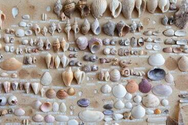 בית מלון כפרי Kyukamura Tateyama