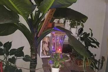 Bed and Breakfast My Dream Hostel