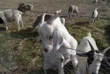 Nocleg ze śniadaniem The Oxley Estate