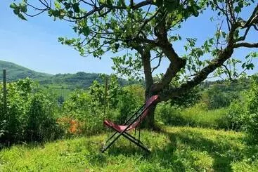 Bed and Breakfast Butterflies Rest