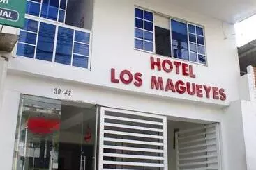 ホテル Los Magueyes