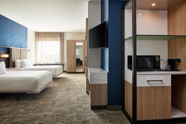 Otel Springhill Suites By Marriott Frederica