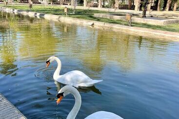 Hotelli Legado Magdalena