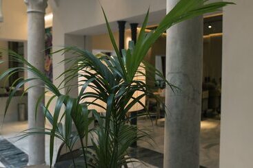 هتل Legado Magdalena