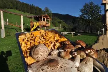 ホテル Kompatscherhof