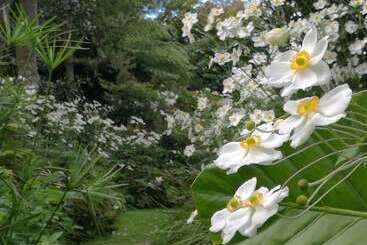 مبيت وإفطار Country Villa Estate