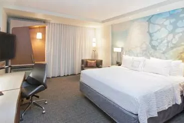 Hotelli Courtyard By Marriott Houston City Place