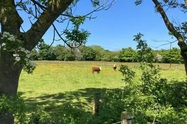 1br Sleeps2 Garden View Parking Cabin Experience