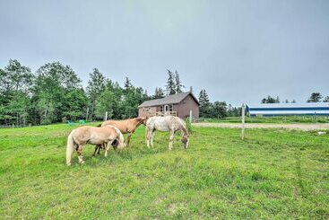 Historic Cottage On Horse Farm: Firepit & Bbq
