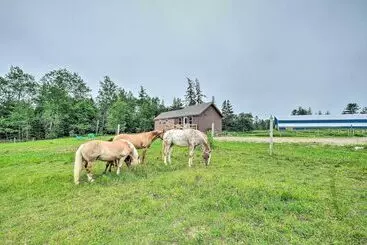 Historic Cottage On Horse Farm: Firepit & Bbq