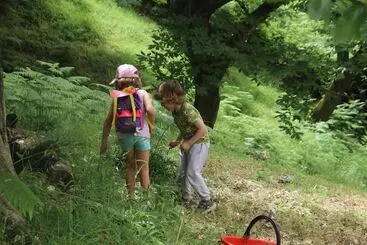 Aamiaismajoitus (B&B) Agriturismo Il Regno Del Marrone