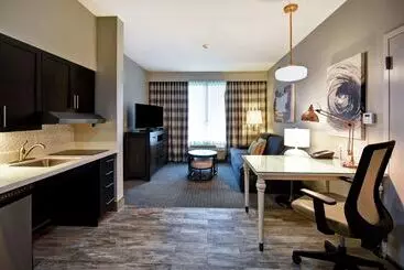 Hotel Homewood Suites By Hilton Dallas Arlington South