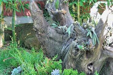 Otel Sandunga Cabañas Boutique