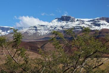בית מלון כפרי Treks Trips And Trails