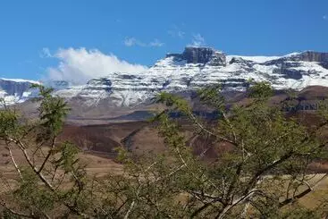 ホテル Treks Trips And Trails