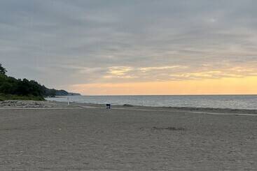 مبيت وإفطار The Inn At Woodsong Acres