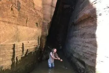 Mökkimajoitus Cozy Cabins