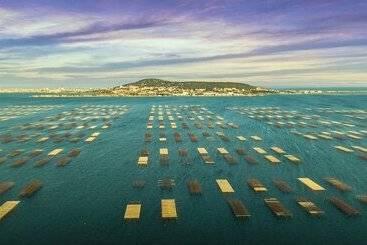 Village Thalassa   Gîte En Rez De Jardin