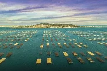 Village Thalassa Gîte En Rez De Jardin