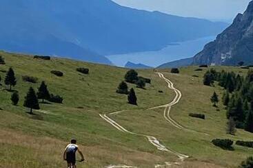 مبيت وإفطار Pedegagia