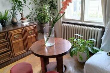 هاستل Monica S House