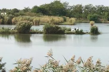 Aamiaismajoitus (B&B) Aqua P Art