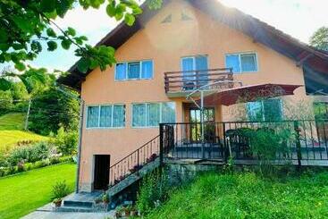 펜션 Casa Anca și Nicușor